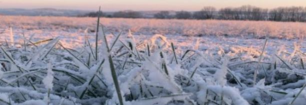 Fortes gelées ce mardi matin sur les Hauts-de-France