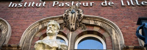 La recherche avance, à l'Institut Pasteur de Lille, pour mettre au point un médicament contre le coronavirus