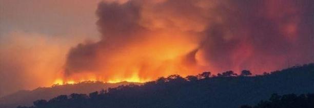 Algérie : Plus de 40 morts dans les incendies qui ravagent le nord du pays