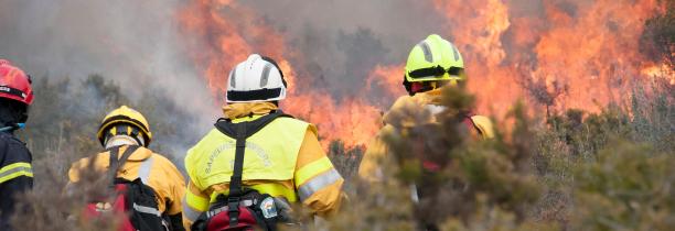 Incendie dans le Var : Le feu "n'a pas progressé dans la nuit"