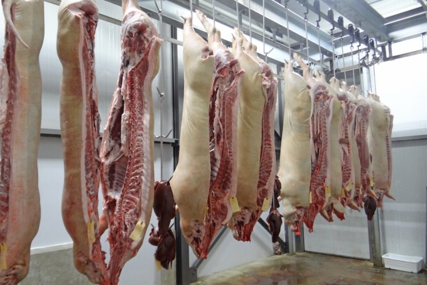 L'activité d'abattage suspendue, à l'abattoir de Valenciennes