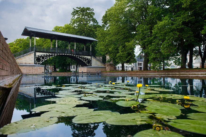 Lille récompensée au concours "Capitale française de la biodiversité"