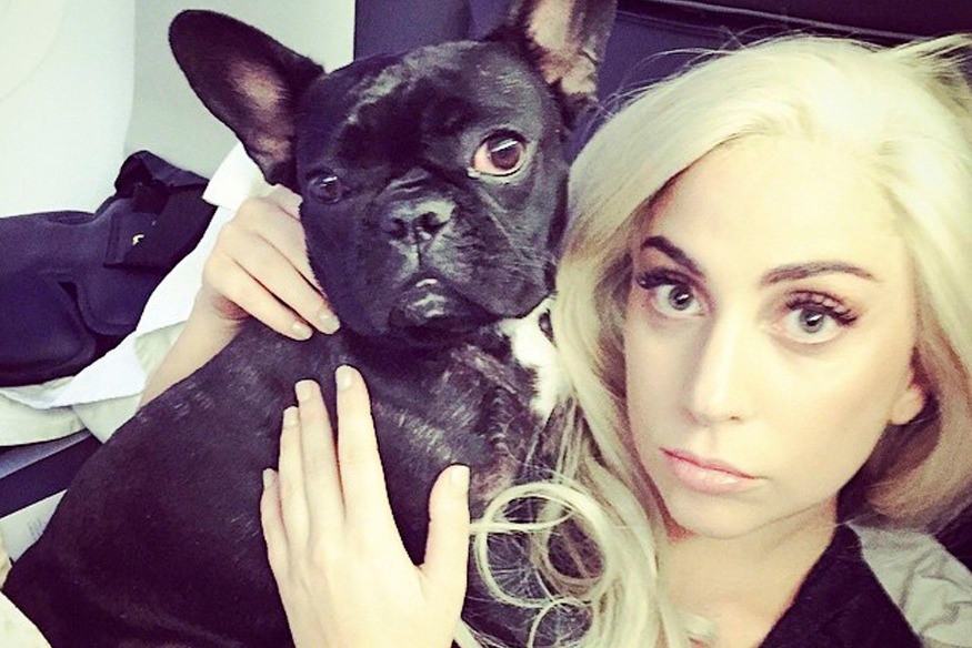 21 ans de prison pour l'un des ravisseurs de chien de Lady Gaga