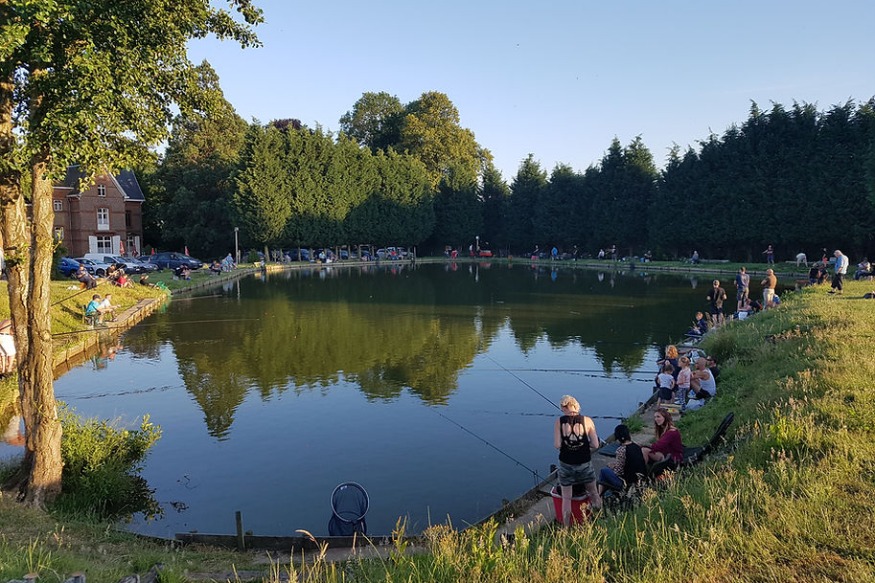 L' Etang du château à Berthen recrute   cuisinier/cuisinière