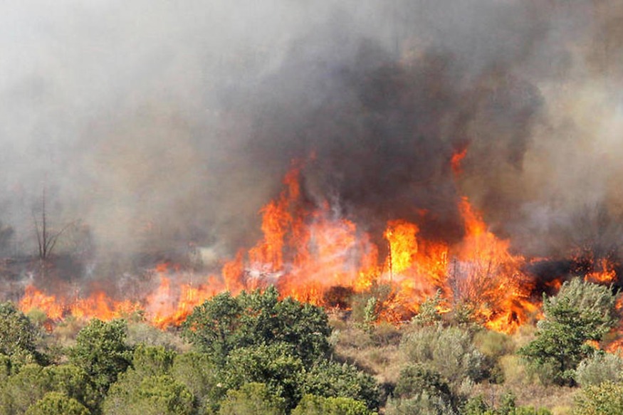 Le feu dans les Pyrénées Orientales, est stabilisé