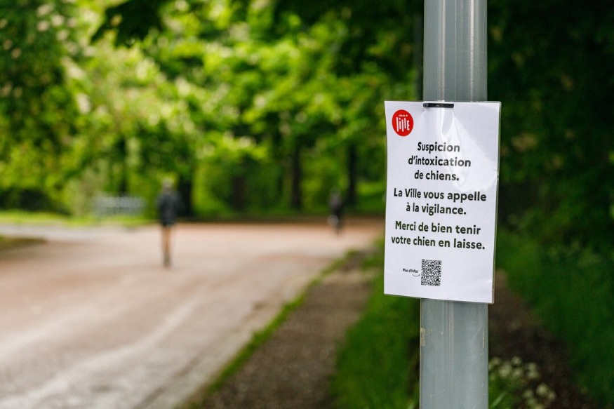 Nouveaux empoisonnements de chiens à Lille