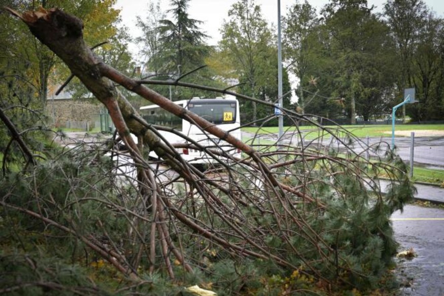 Tempête Ciaran : 2 blessés graves hier dans le Nord