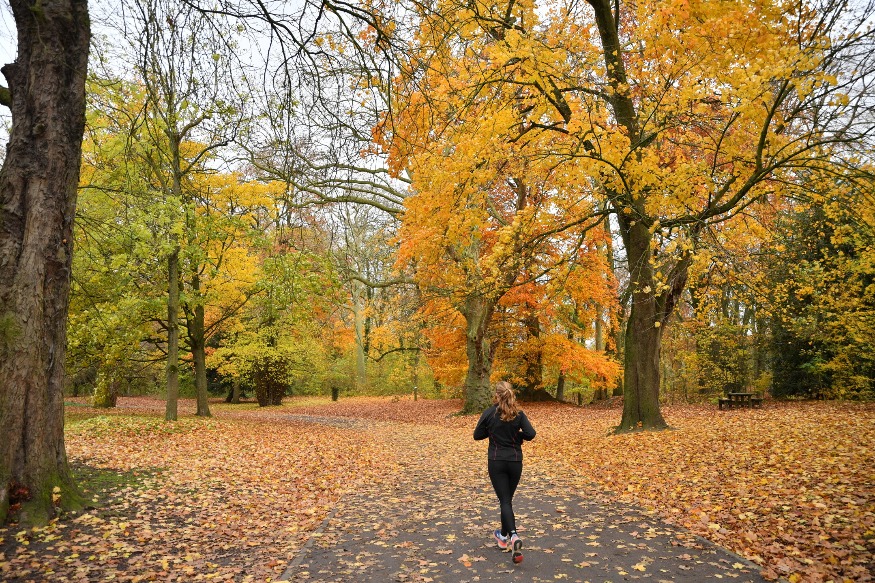 Les parcs et jardins restent fermés à Lille