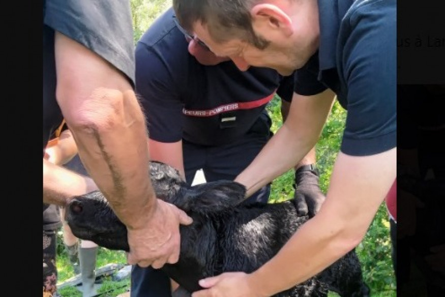 Sauvetage hors du commun, pour les pompiers du Nord